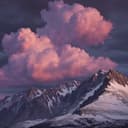 When The Going Gets Tough.. 