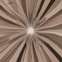 Buscando lo que no hay 