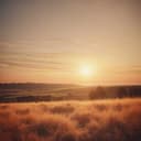 Mulher de Provérbios 31