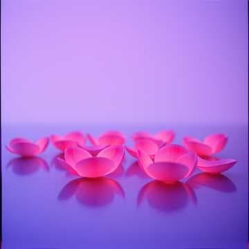 Virgin Nights, Secret Sins