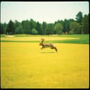 Jeffrey Leech and Bun Bun