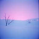 Whispers in the Snow