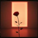 Que se acabe este dolor 