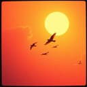 Carta para o seu coração