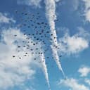 Parachutes of Many Troops