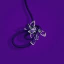 Toxic Leash Rebellion