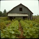 MST chega na Chácara