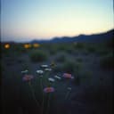 "Lo que tu sombra nombra al rozar el mundo. Autor: A. A. Mc. V. ©™®