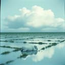 Little boy blues break down 