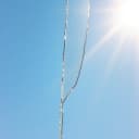 Forever In Your Arms