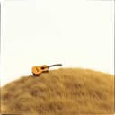 Whispers in the Wind