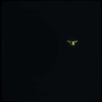 Whispers in the Dark
