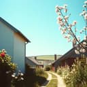 나의 고향 지수