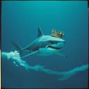 Shark slayer 
