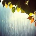 소설속 한장면같은 소나기