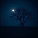 Bailando en la Oscuridad