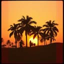 **Title: "JOGJA TO JOHANNESBURG"**  