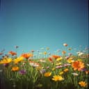 وانا ودينا بقينا لبعض