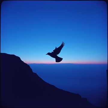 Shattered Wings