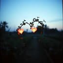 Do you miss me like I miss you? 