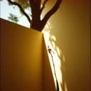 Blues da Conexão com Raízes