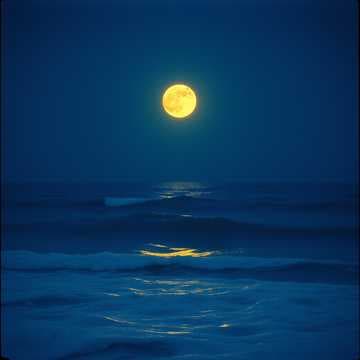 Me te llevo en el alma 