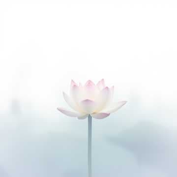 Sutra de Lótus: Os Dez Aspectos da Realidade