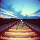 Sometimes she loves me