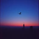 Espacio para respirar 