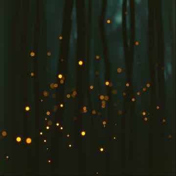 Whispers in the Dark