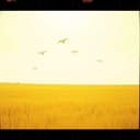 Я вдыхаю этот воздух