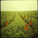 Hand in Hand Together We Rise