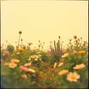 Maravilla de Amor Divino