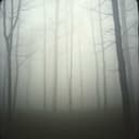 Тінь між людей