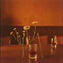 Wild Eyes and Reckless Hearts