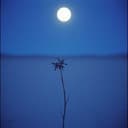 جيتك بعد جرحي