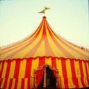 Sideshow Anarchy Rises