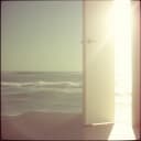 Rebel's Daily Grind Blues