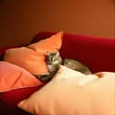 Accidental Heartbreaker