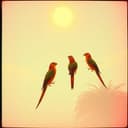 Dingeling Hot Groove