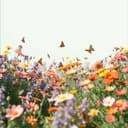 Världens Bästa Amalia