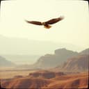 JC iniciales de respetar 