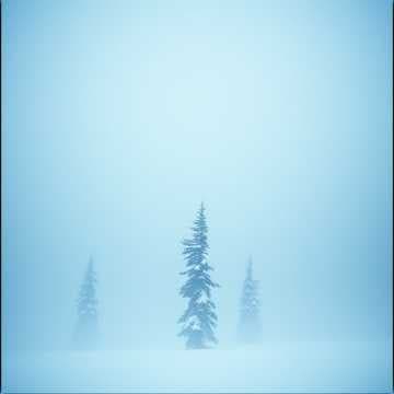 Mist Falling Snow Storm