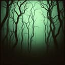 Zerrissene Schattenwelt