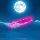 Surfin' Digital Waves