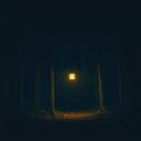 Echoes in the Dark of Night