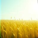 금천제방 위를 걸어보았는가