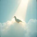 Gracias por atender mi llamado 