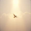 Dentro do Coração Eternamente