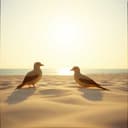 Together in Marsa Alam